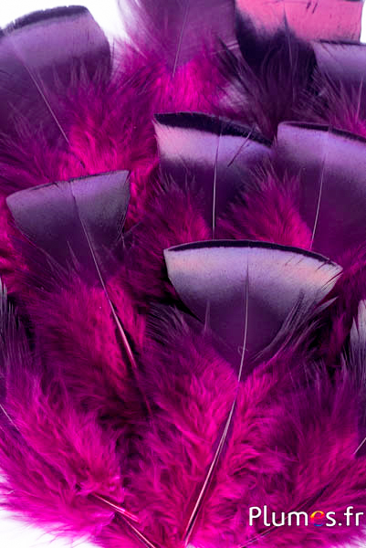 Dindon bronze - 5-15 cm - fuchsia